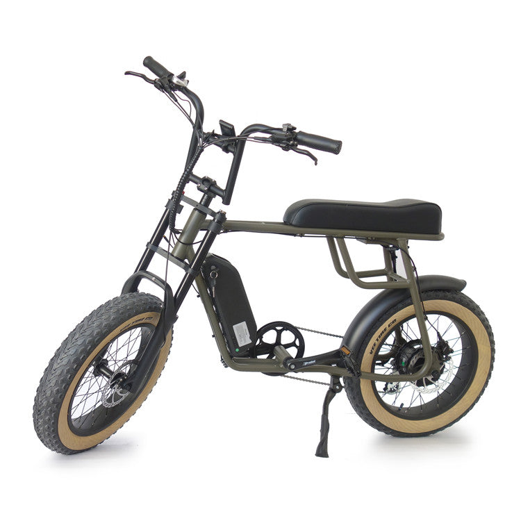 Bicicleta eléctrica RetroEU Plus