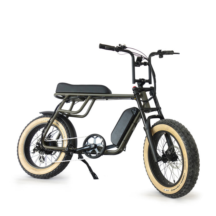 Bicicleta eléctrica RetroEU Plus