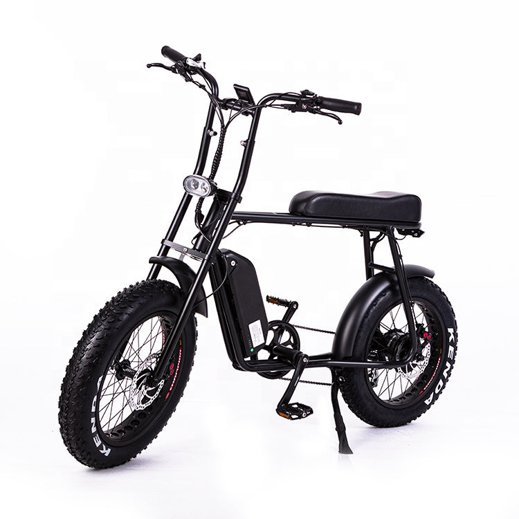 Bicicleta eléctrica Retro