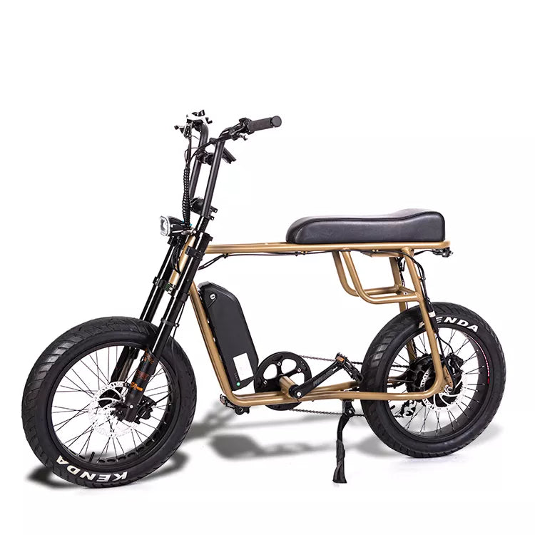 Bicicleta eléctrica RetroEU Plus
