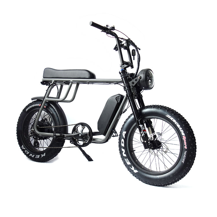 Bicicleta eléctrica RetroEU Plus